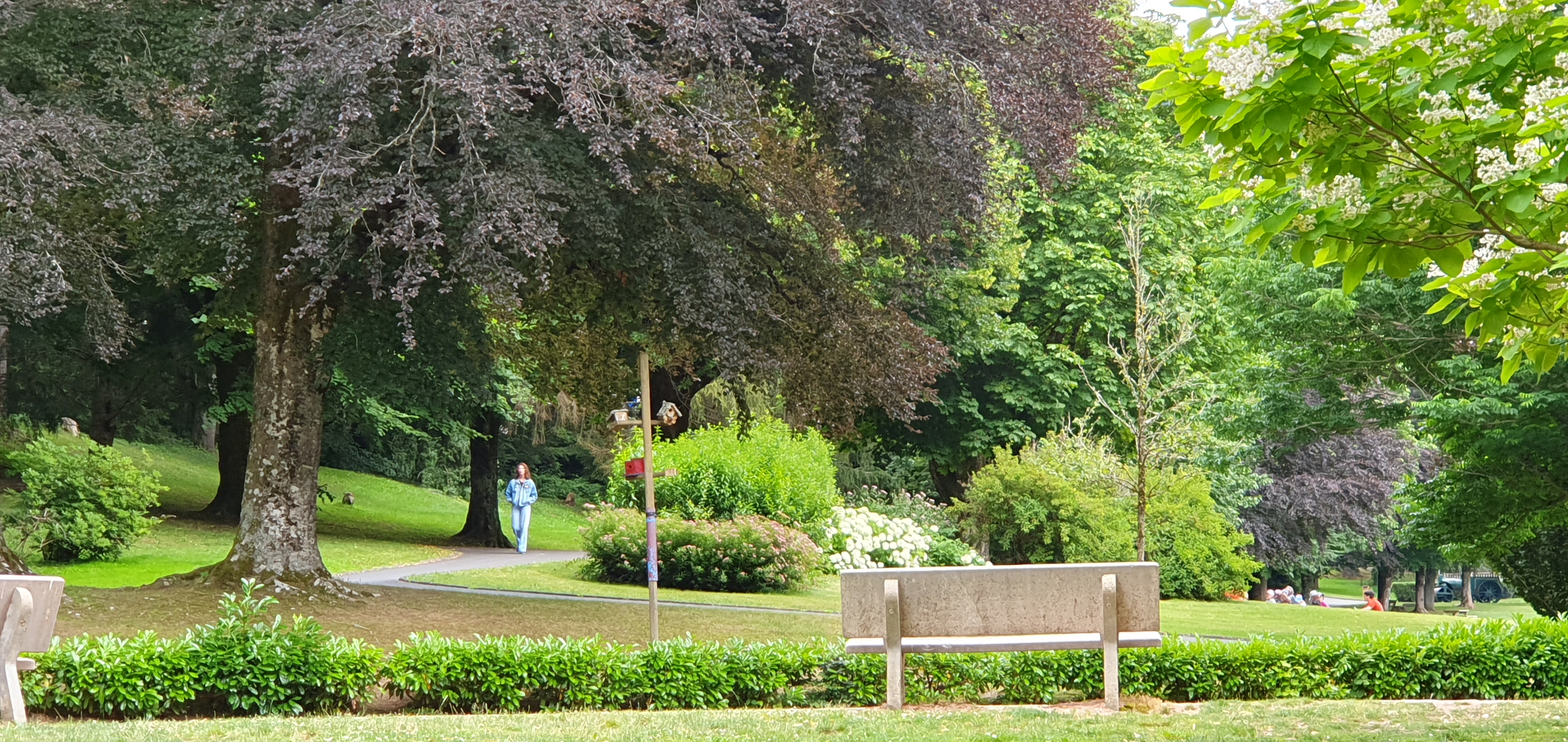 Photo n° 4 de l'avis de Rene.i fait le 23/08/2023 à 10:32