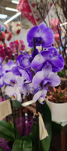 Grocery Store «Albertsons», reviews and photos, 1800 W Whittier Blvd, La Habra, CA 90631, USA