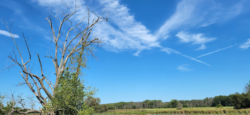 National Reserve «Montezuma National Wildlife Refuge», reviews and photos, 3395 US-20, Seneca Falls, NY 13148, USA