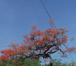 24 de Junio Park photo