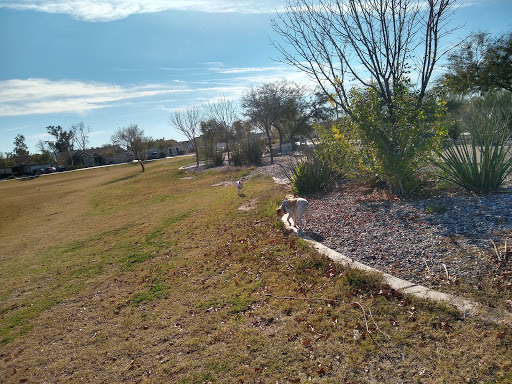 Park «Dust Devil Park», reviews and photos, 10645 W Camelback Rd, Glendale, AZ 85307, USA