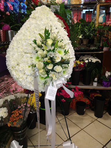 Florist «Paradise Florist Corp.», reviews and photos, 634 W 207th St, New York, NY 10034, USA