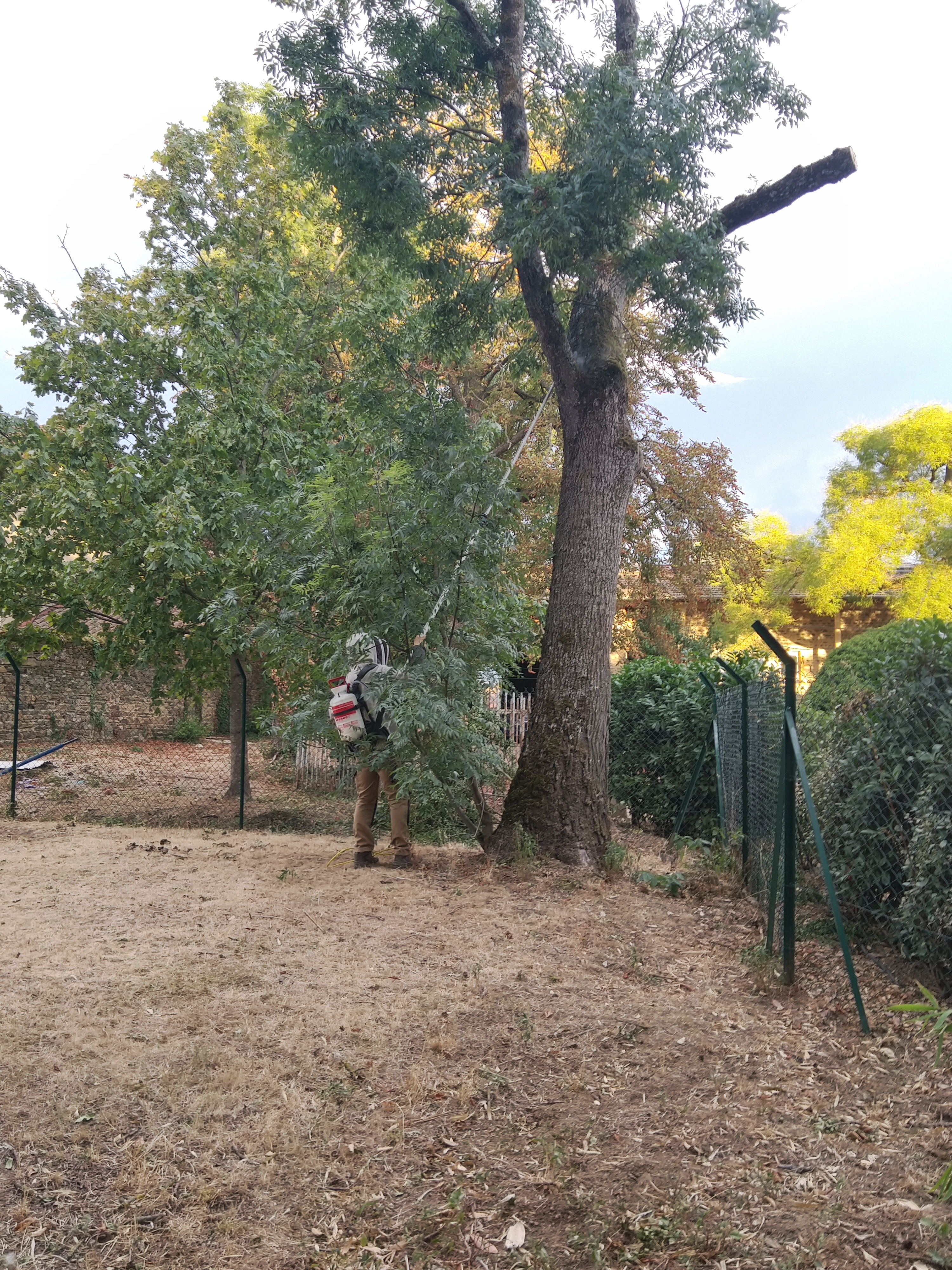 Photo n° 2 de l'avis de frederic.e fait le 28/08/2020 à 07:54