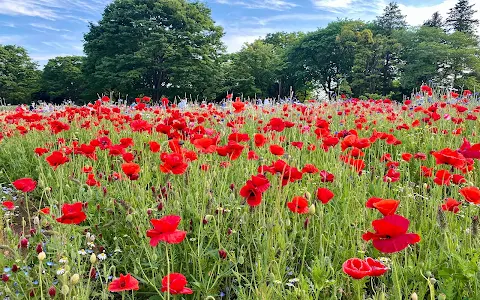 Showa Kinen Park image