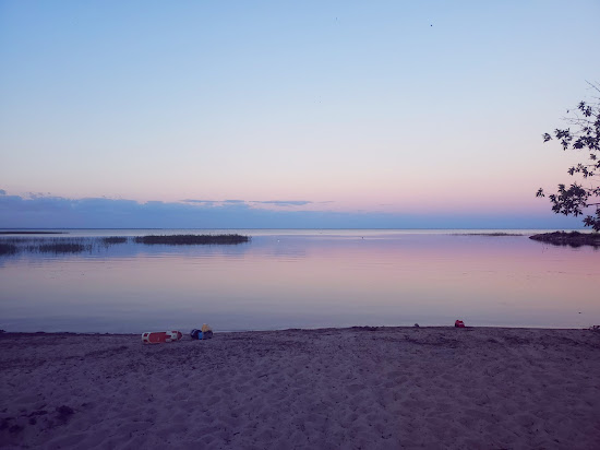 Whites beach