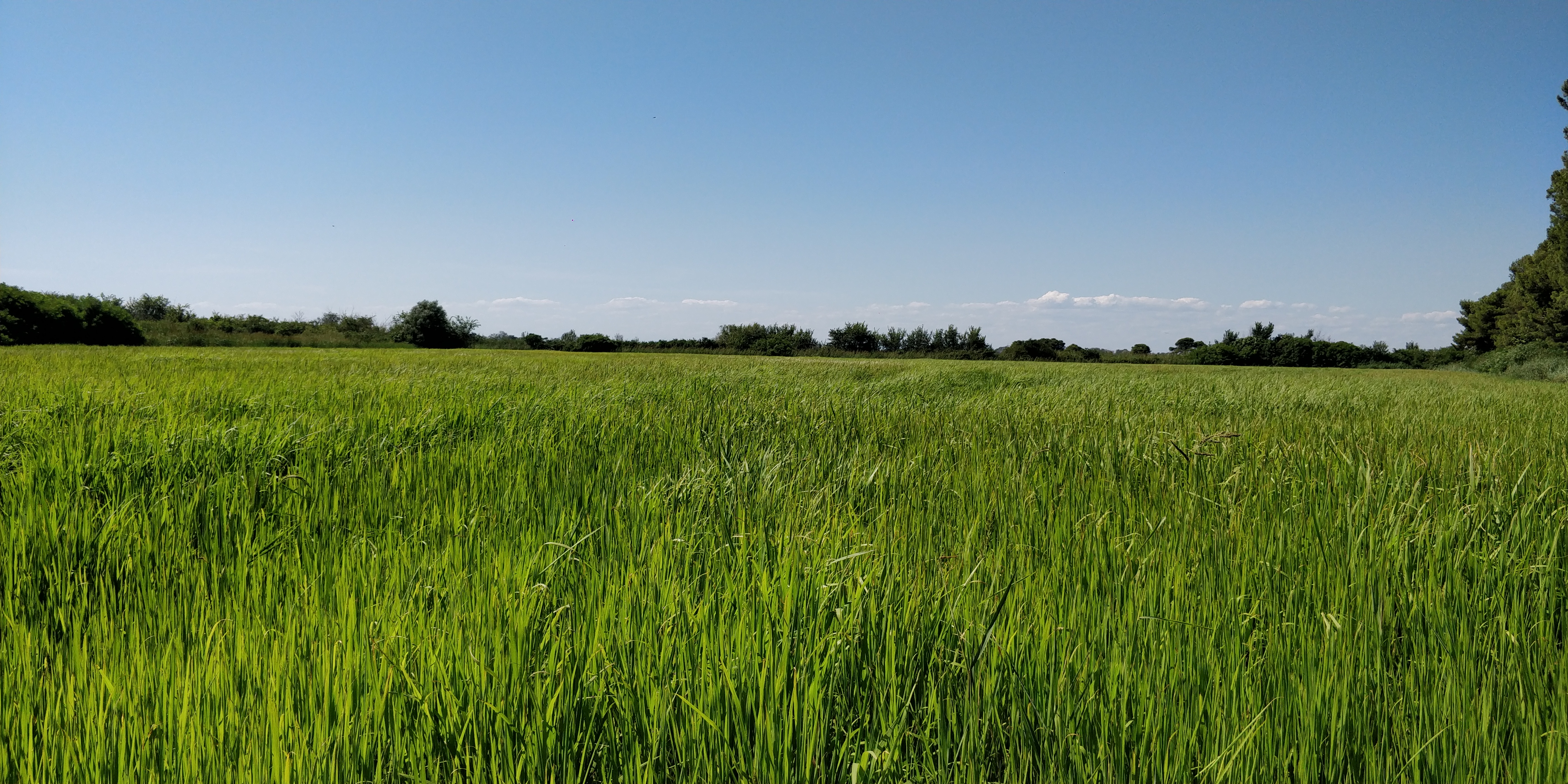 Photo n° 3 de l'avis de Fabrice.u fait le 08/08/2019 à 15:07