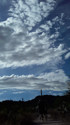 Bicycle Store «Bike Shop Hub», reviews and photos, 2801 N Flowing Wells Rd #101, Tucson, AZ 85705, USA