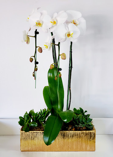 Florist «Bixby Knolls Flowers», reviews and photos, 3901 Long Beach Blvd, Long Beach, CA 90807, USA