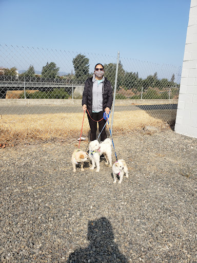 Non-Profit Organization «Humane Society Napa County - (Napa Humane)», reviews and photos