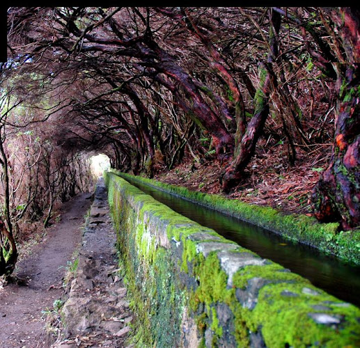 Avaliações doWalking With Emanuel em Funchal - Agência de viagens