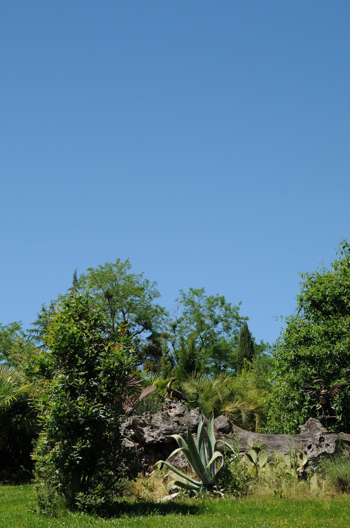 Photo n° 19 de l'avis de Ange.n fait le 01/06/2019 à 14:17
