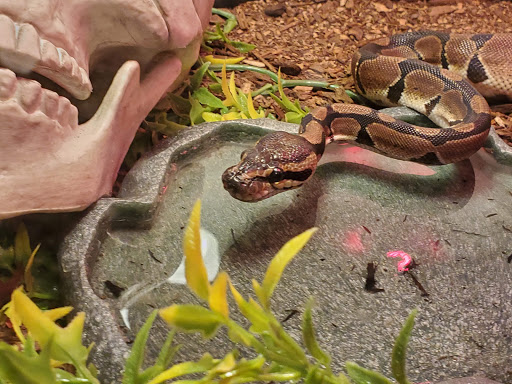 Pet Supply Store «Petco Animal Supplies», reviews and photos, 29560 W Seven Mile Rd, Livonia, MI 48152, USA