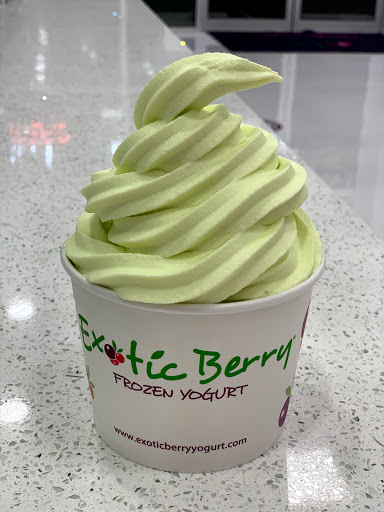 Exotic Berry Frozen Yogurt