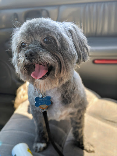 Pet Supply Store «Petco Animal Supplies», reviews and photos, 2515 Corridor Way #3, Coralville, IA 52241, USA