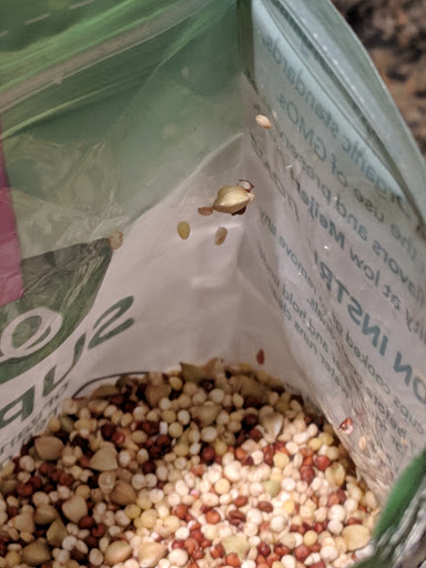 Grocery Store «Meijer», reviews and photos, 1900 E College Ave, Normal, IL 61761, USA