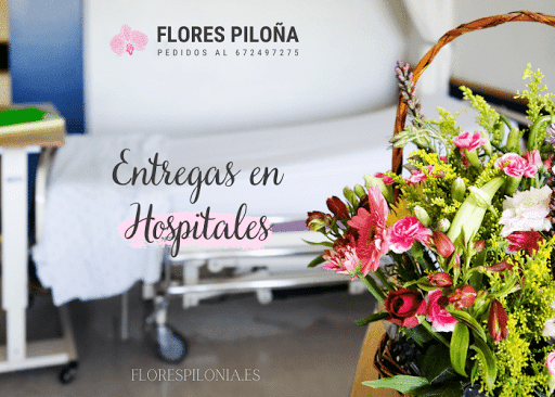Flores Piloña en Infiesto, Oviedo