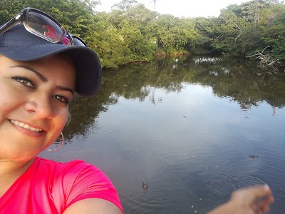 park