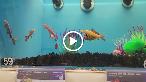 Pet Supply Store «Petco Animal Supplies», reviews and photos, 475 S Wadsworth Blvd, Lakewood, CO 80226, USA