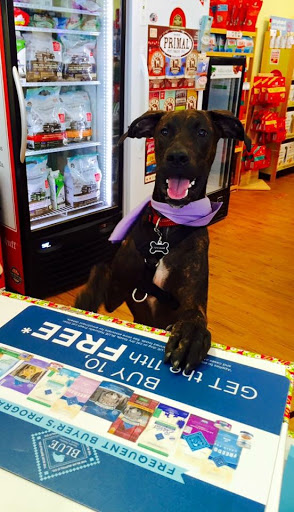 Pet Store «Bark Life Market», reviews and photos, 11220 Park Blvd N, Seminole, FL 33772, USA