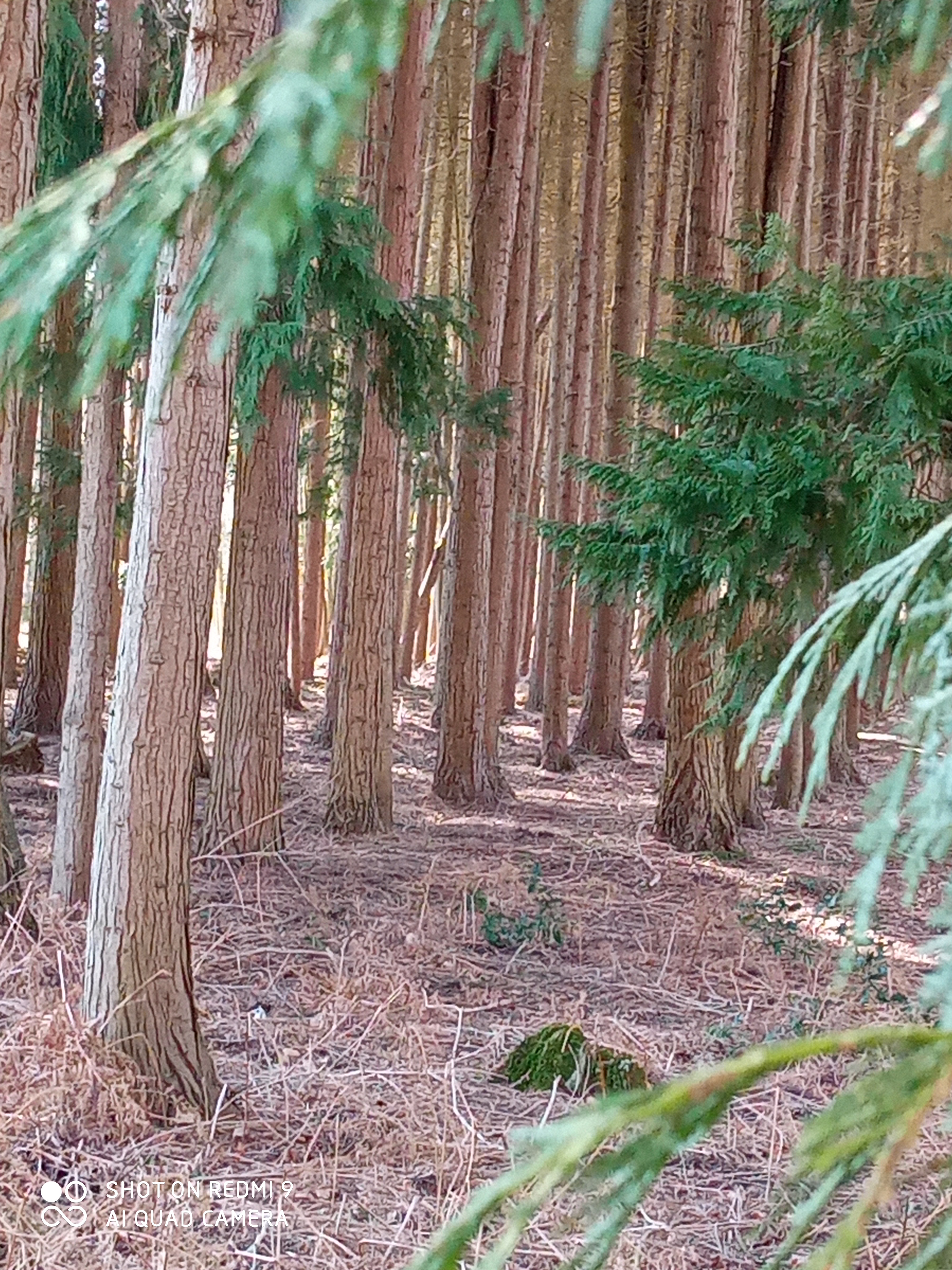Photo n° 7 de l'avis de marieFrancois.y fait le 28/02/2021 à 14:41