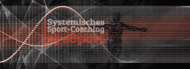 Systemisches Sportcoaching sysSport