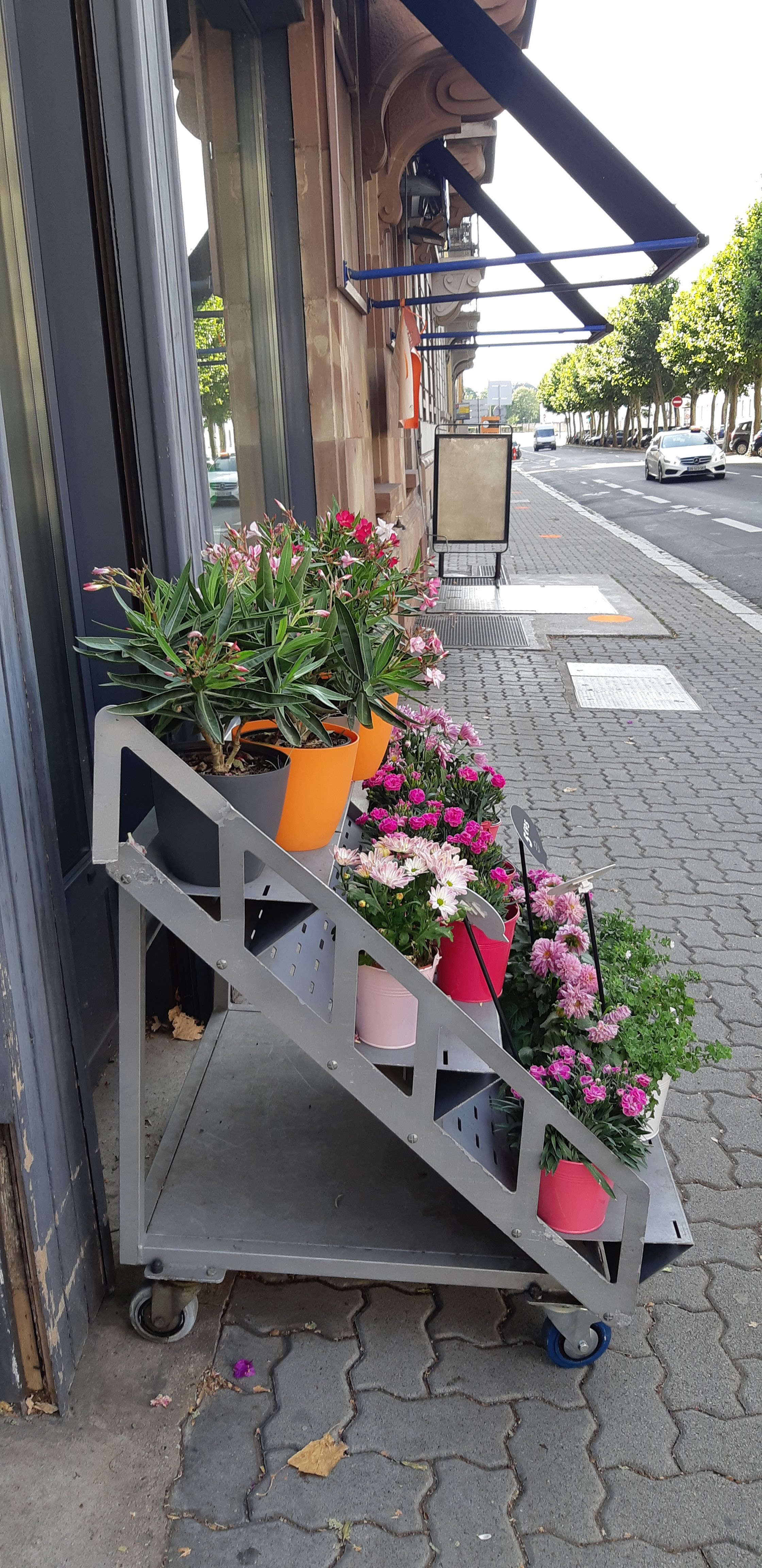 Photo n° 11 de l'avis de Del.t fait le 06/07/2019 à 07:39