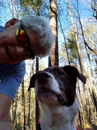 National Park «Blue Ridge National Heritage Area», reviews and photos, 195 Hemphill Knob Rd, Asheville, NC 28803, USA
