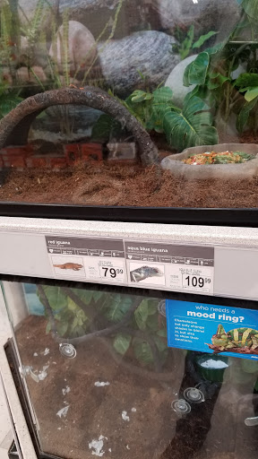 Pet Supply Store «Petco Animal Supplies», reviews and photos, 6067 Greenback Ln, Citrus Heights, CA 95621, USA