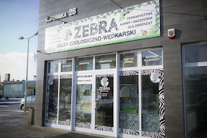 ZEBRA store zoological Fishing image