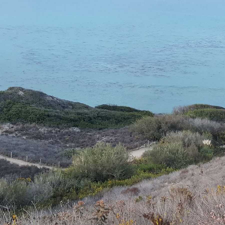 Ocean Trails Reserve