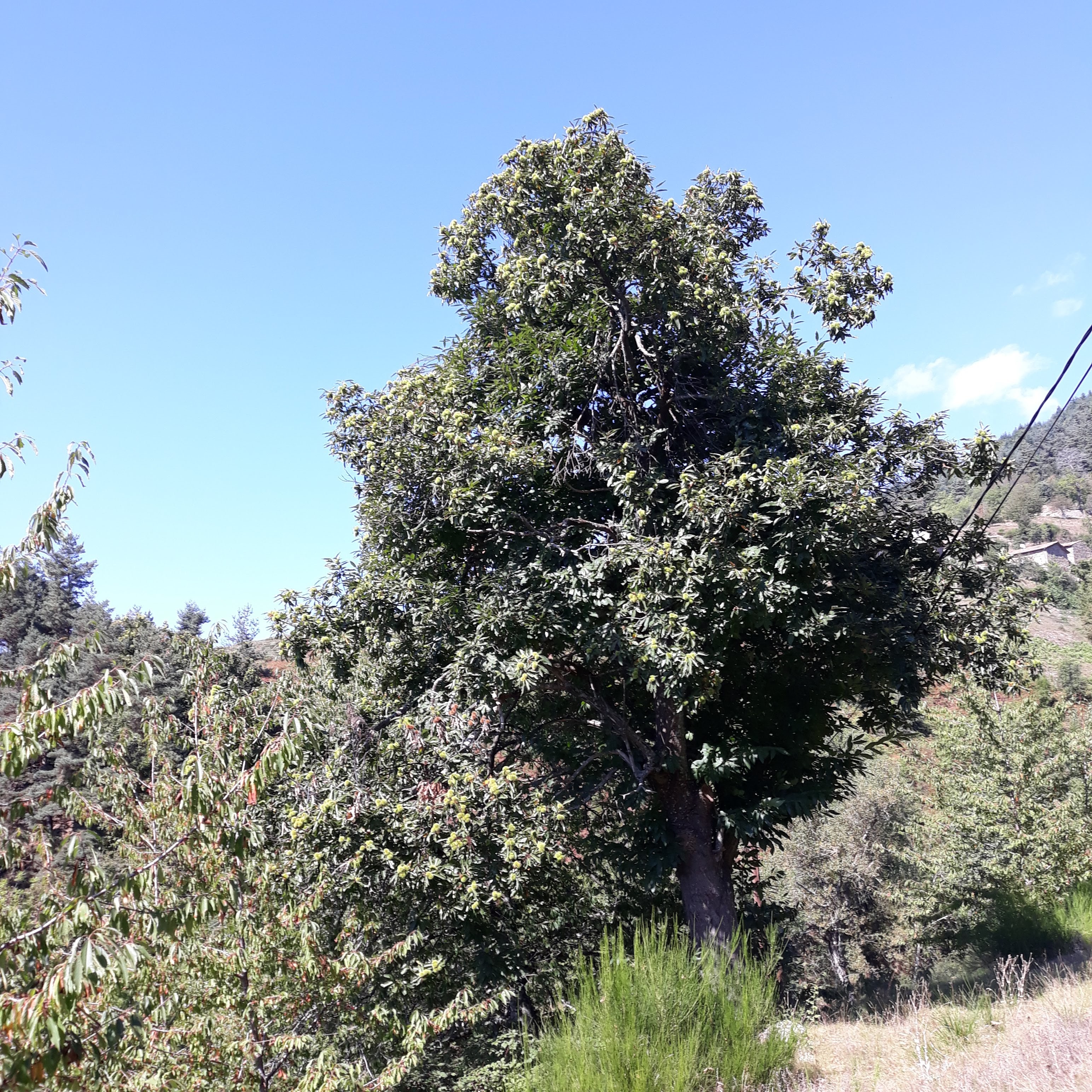 Photo n° 25 de l'avis de bruno. fait le 30/10/2021 à 14:12