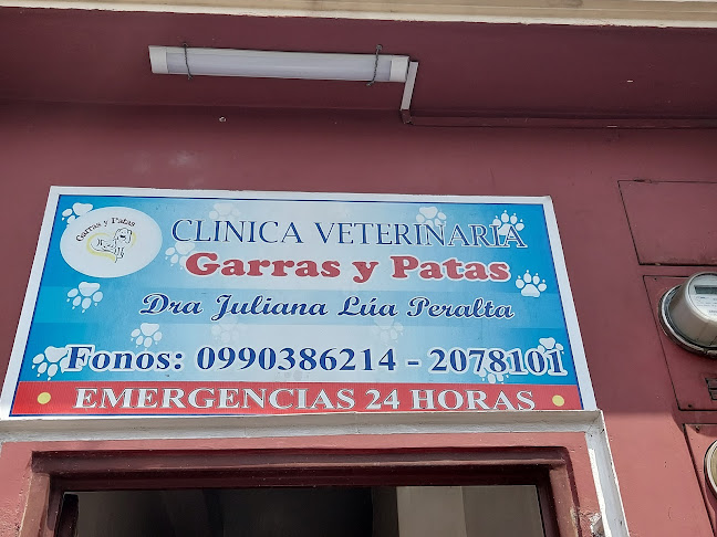 Clinica Veterinaria Garras y Patas - Veterinario
