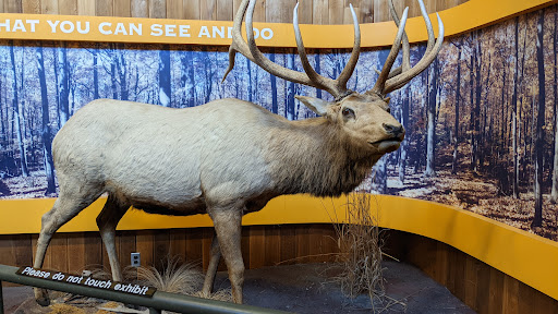 Visitor Center «Golden Pond Visitor Center & Planetarium», reviews and photos, 238 Visitor Center Dr, Golden Pond, KY 42211, USA