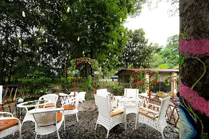 Jungle Lore Ganga Cafe image