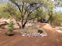 Bear Canyon Nursery & Landscaping
