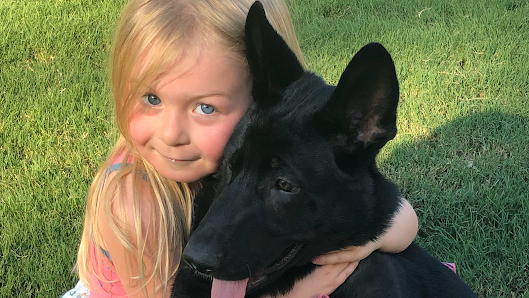 CC Canine Academy & Boarding, LLC 125 Aspen, Odenville, AL 35120, United States