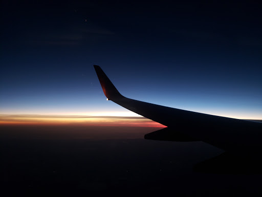 National Forest «Ocala National Forest», reviews and photos, FL-40, Silver Springs, FL 34488, USA