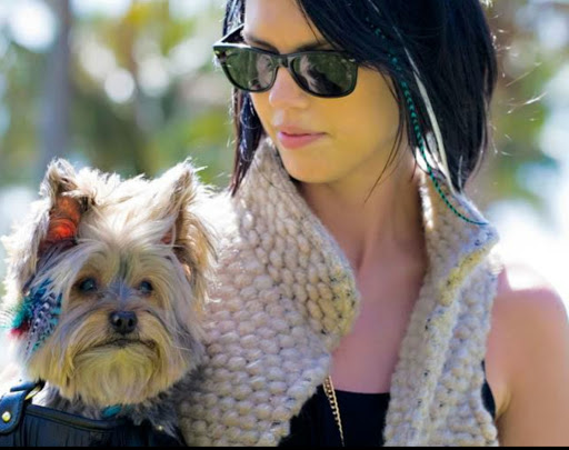 Pet Groomer «The Pet Set - Buckhead», reviews and photos, 2480 Briarcliff Rd NE #3, Atlanta, GA 30329, USA