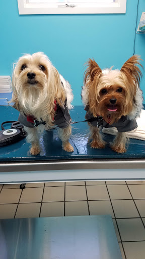 Pet Store «Island Dog», reviews and photos, 410 Mallery St, Saint Simons Island, GA 31522, USA