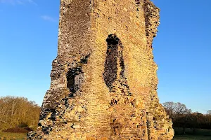 Knepp Castle image