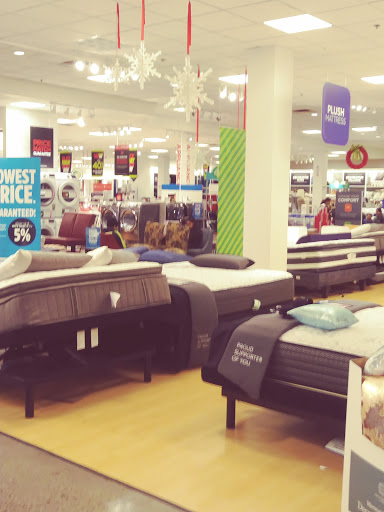 Department Store «JCPenney», reviews and photos, 3710 U.S. 9, Freehold, NJ 07728, USA