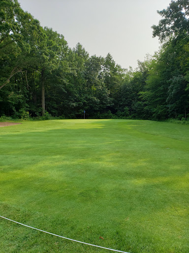 Golf Course «Hawk Meadows Golf Course», reviews and photos, 410 E Marr Rd, Howell, MI 48855, USA