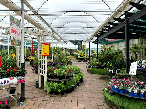 Kings Plant Barn Takapuna