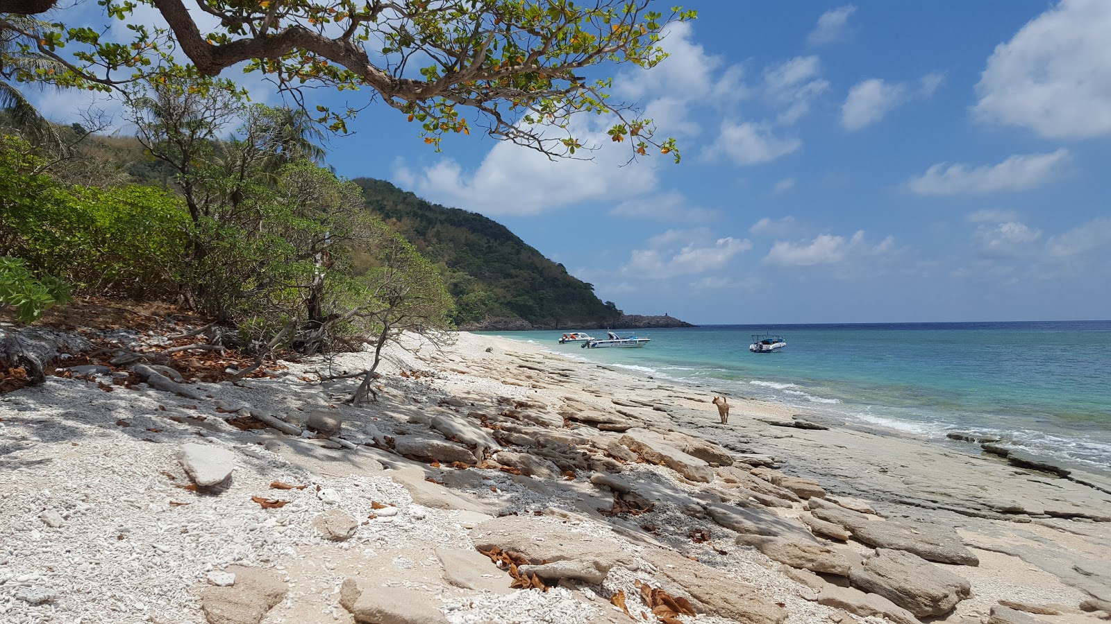 Foto av Hon Cau Beach med lätt sten yta
