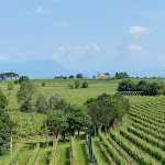 Photo n°2 de l'avis de Alessandra.. fait le 02/06/2023 à 12:28 sur le  Hotel Nuova Barcaccia à Peschiera del Garda