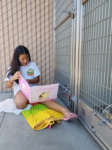 Corona Animal Shelter image