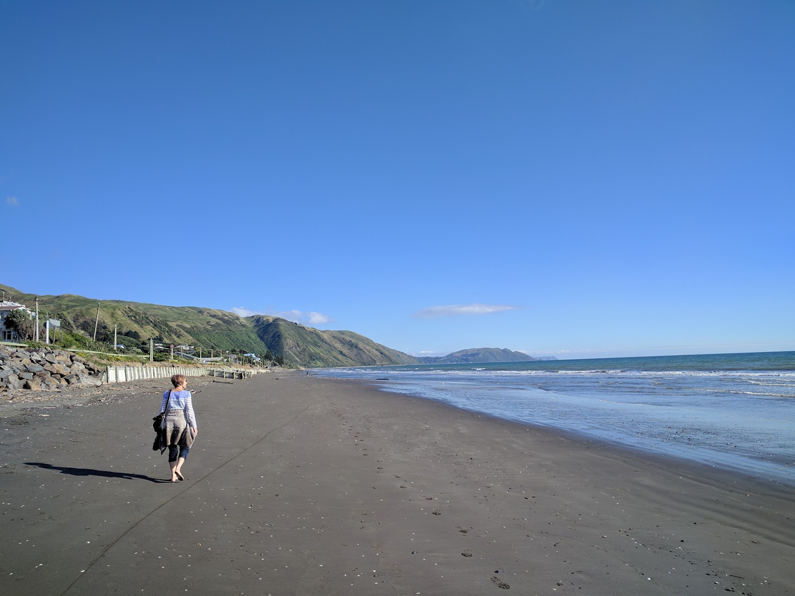 Photo de Paekakariki Beach avec sable gris de surface