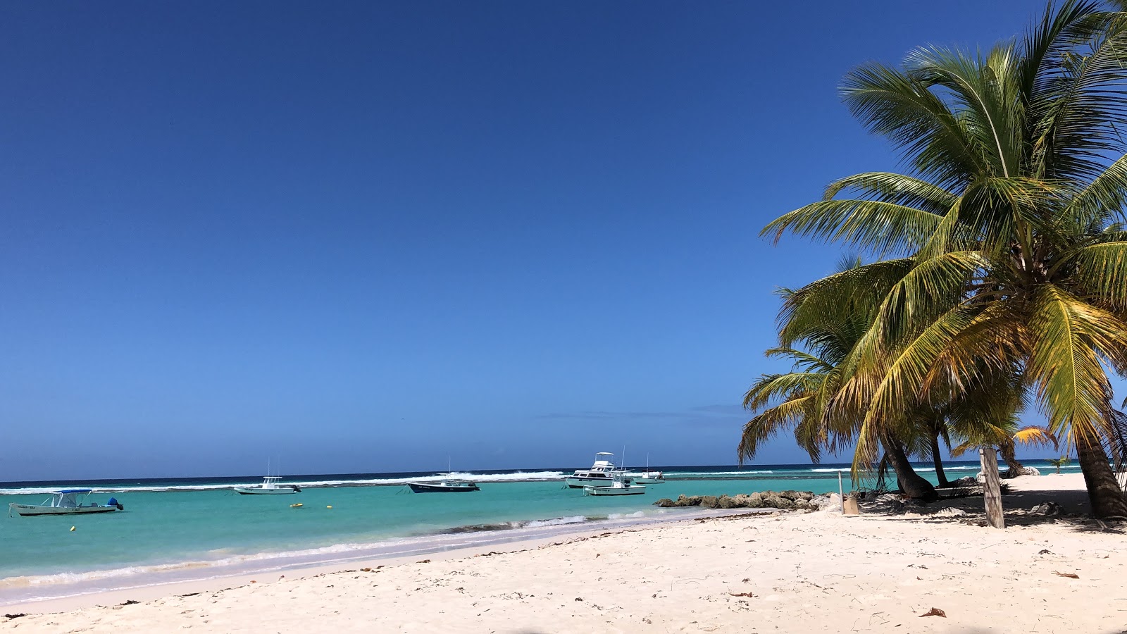 Crystal Waters beach'in fotoğrafı i̇nce bej kum yüzey ile