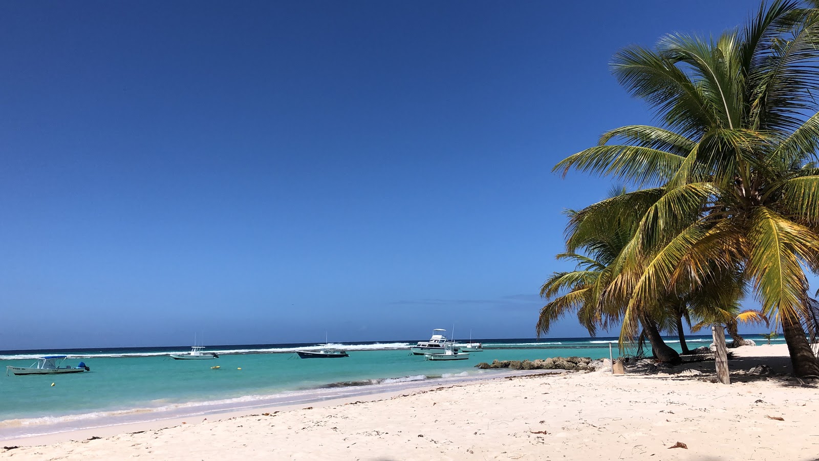 Foto von Crystal Waters beach mit heller feiner sand Oberfläche