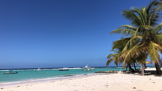 Crystal Waters beach